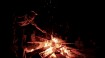 Croissant Neuf Festival Campfire